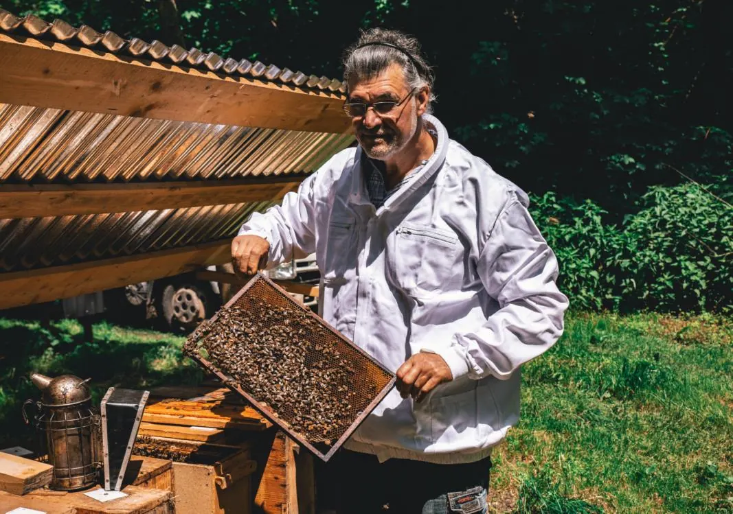 Romain’s Honey 養蜂人手持蜂巢框